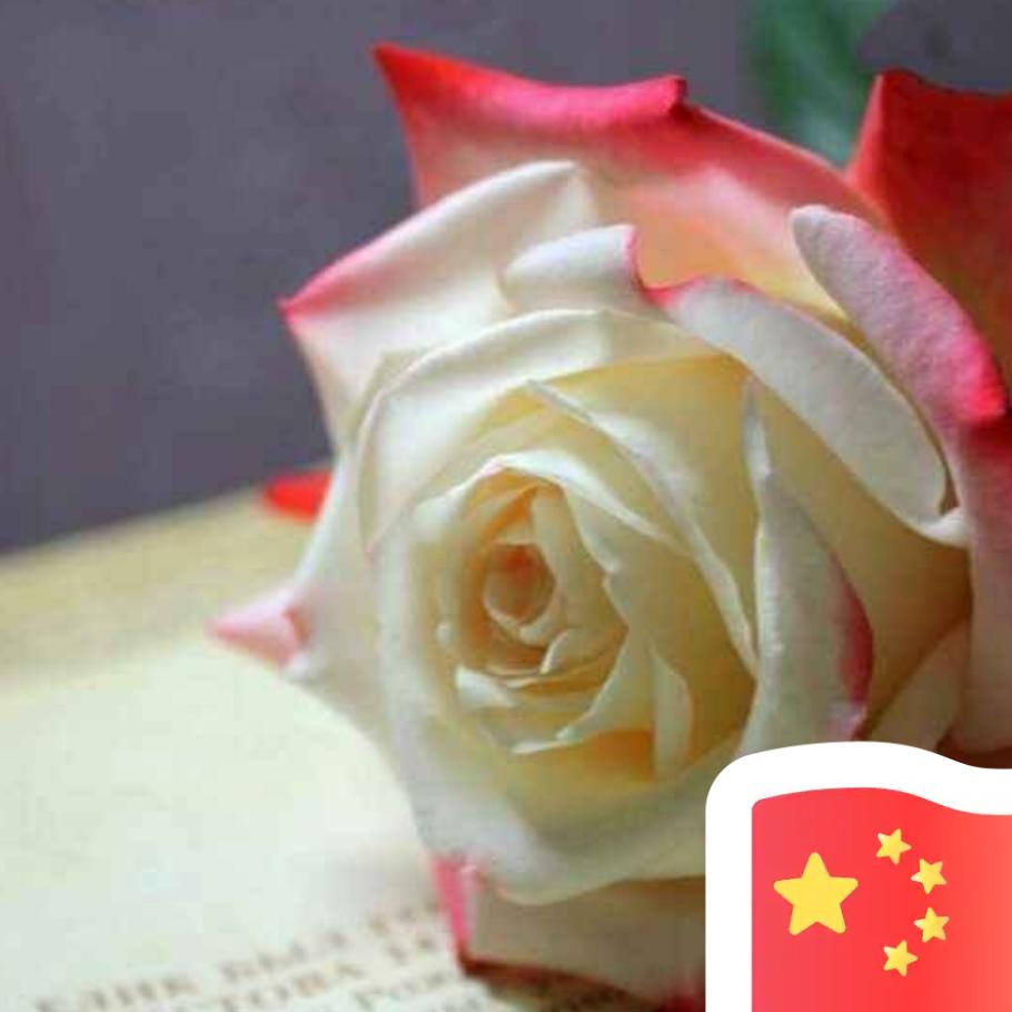 彩霜蒸面张祖平