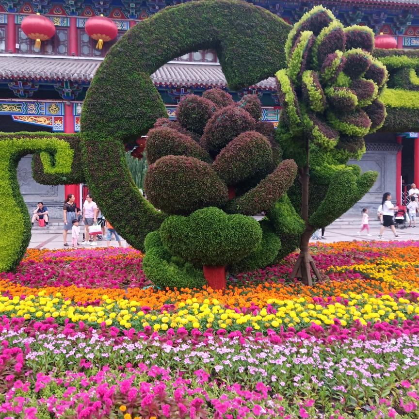 永远快乐