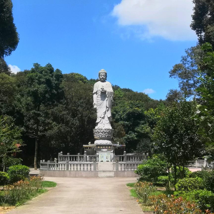 灿烂的春天……