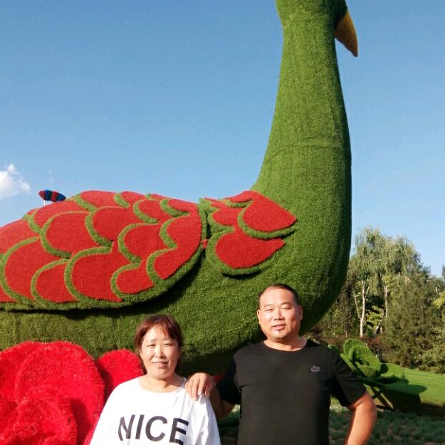 为你撑起一片天