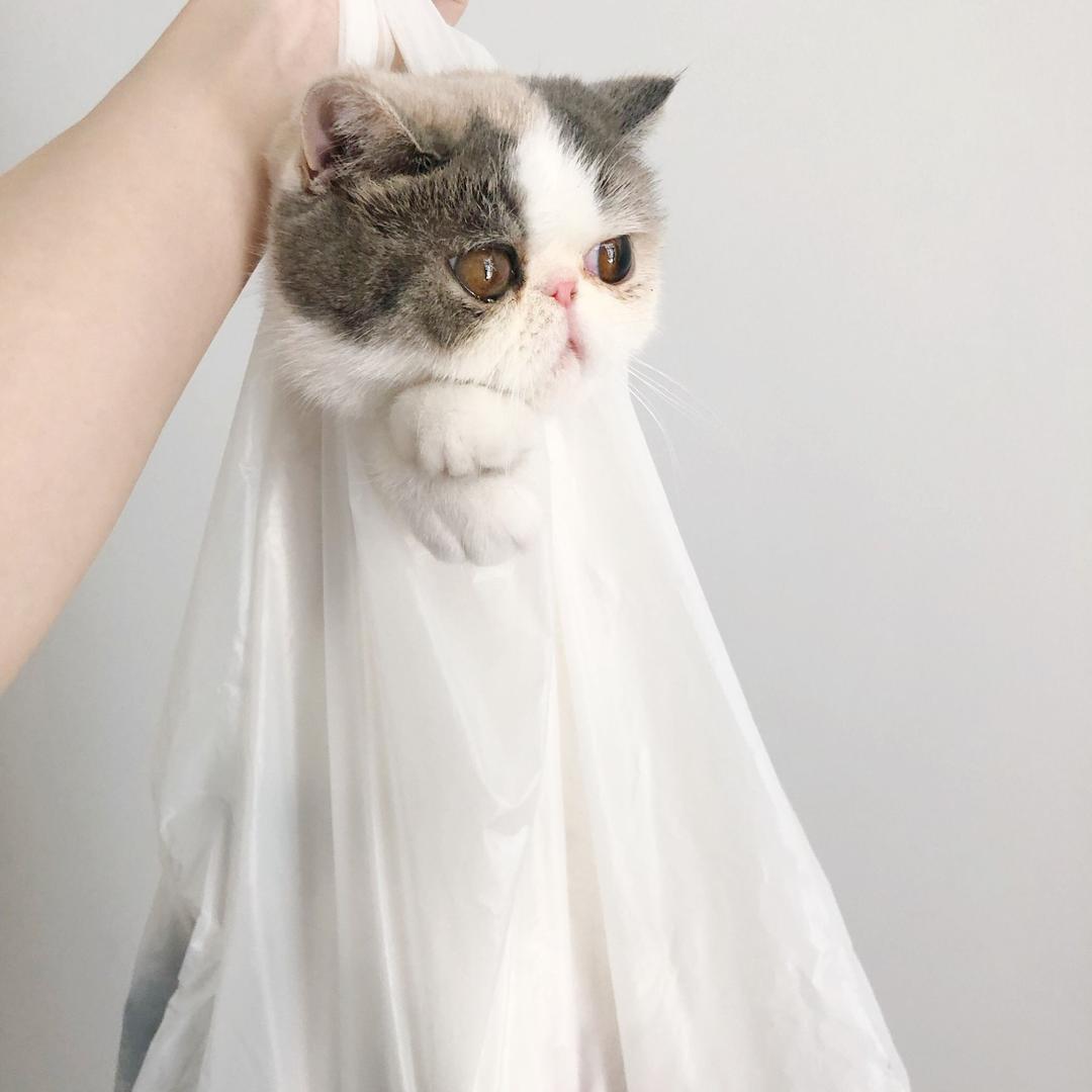 邻家小鲜女
