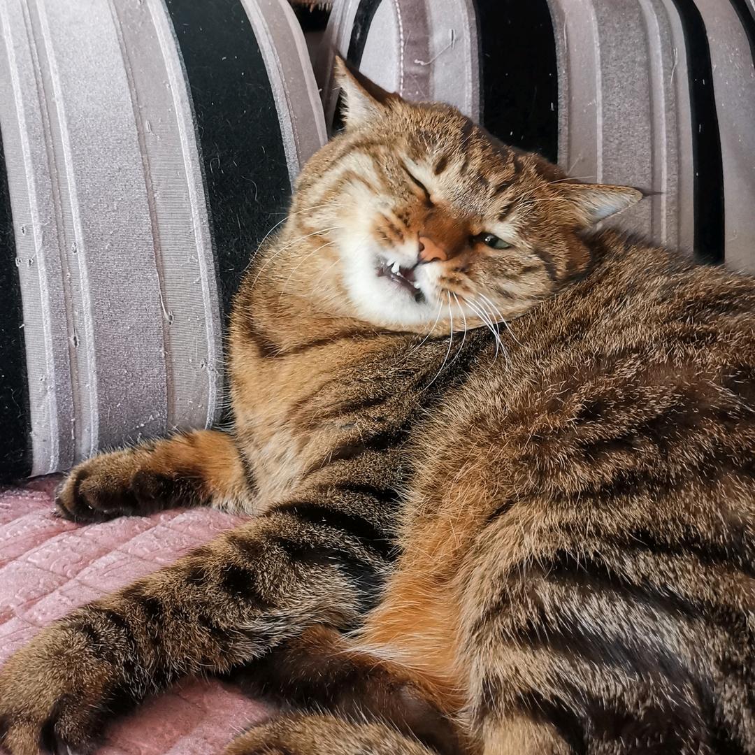 羞涩的抠脚大叔