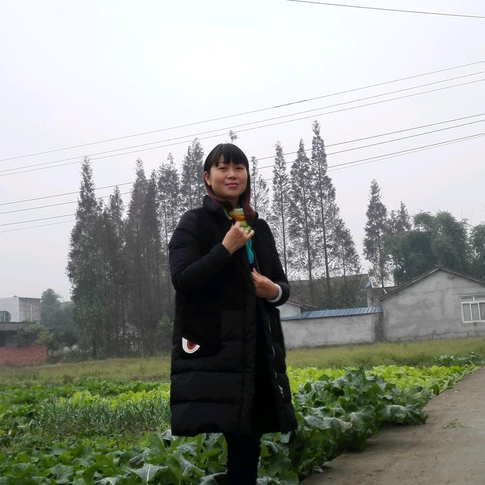 豆芽姐