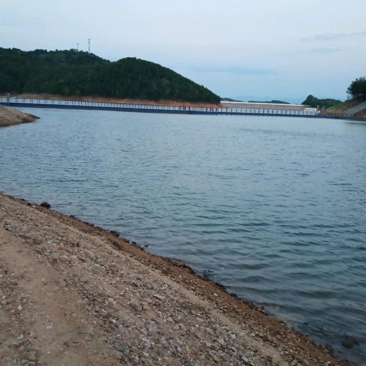 初哥