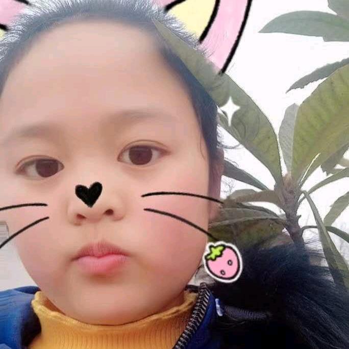 小张不慌张👫