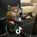 就是·IDK