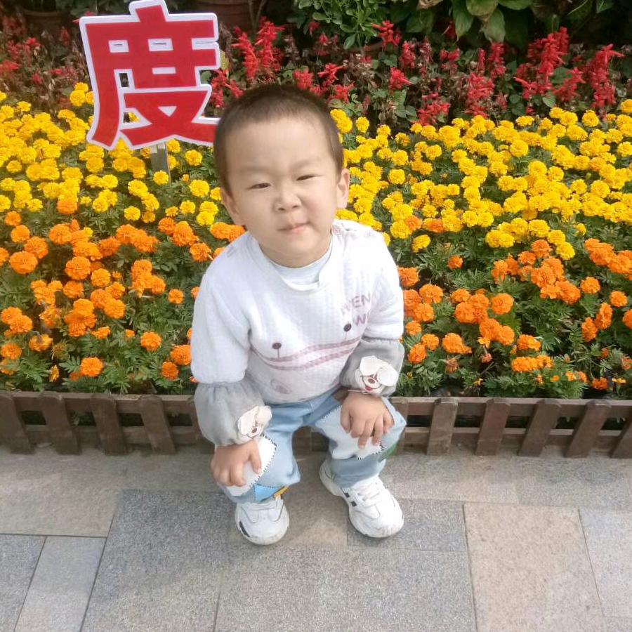 顺其自然