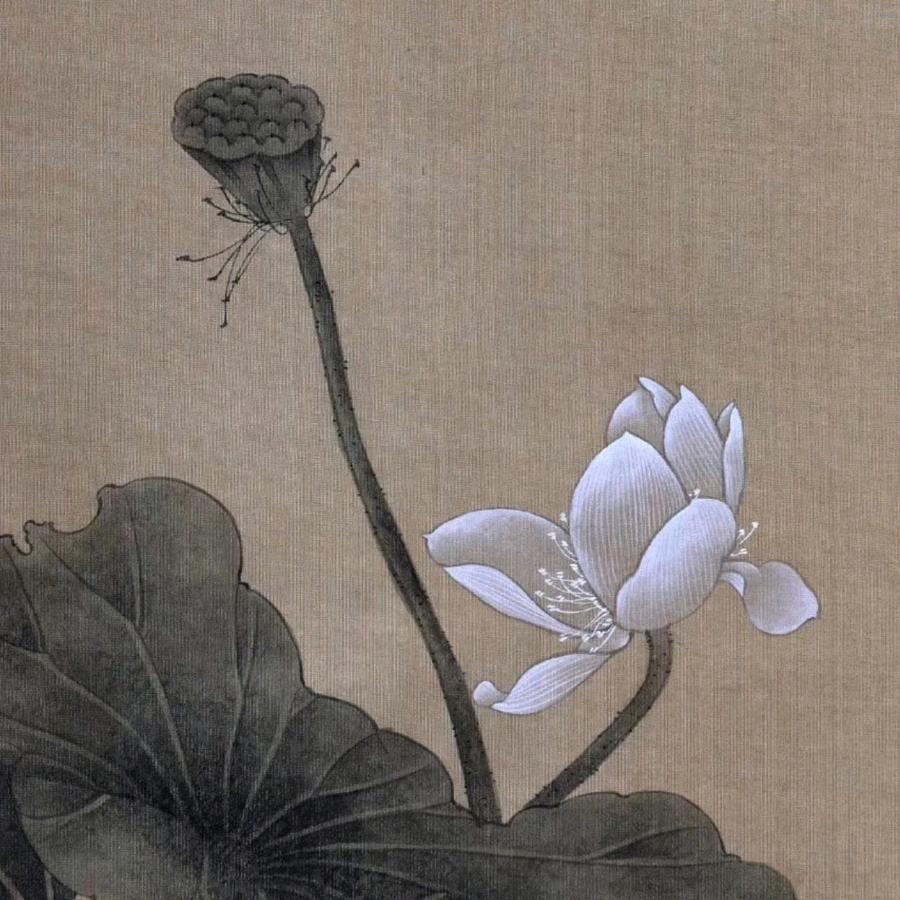 来生愿做一朵莲