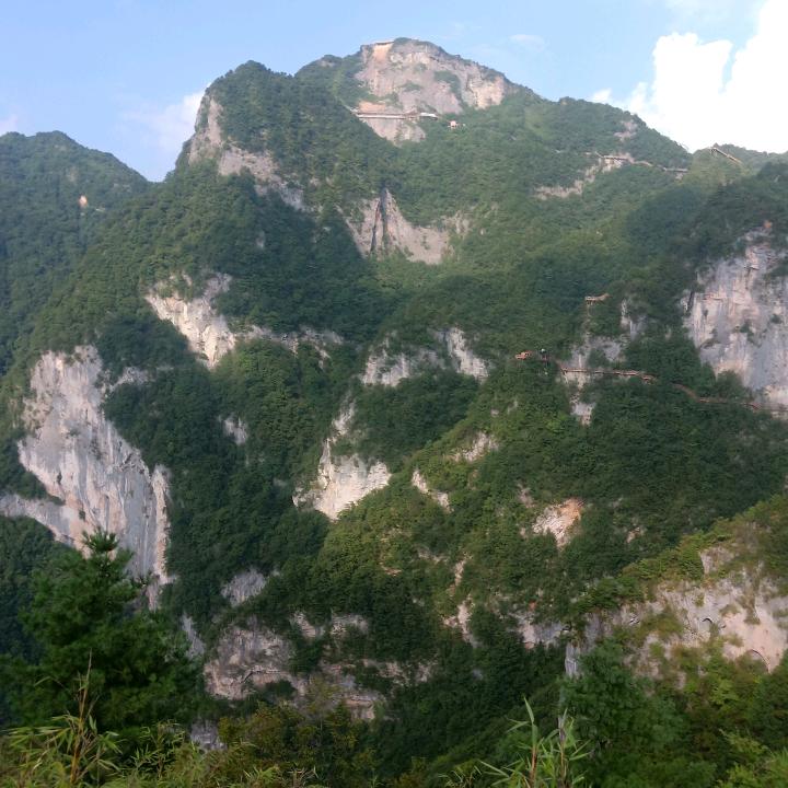 龙小红