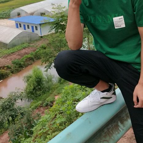 命运