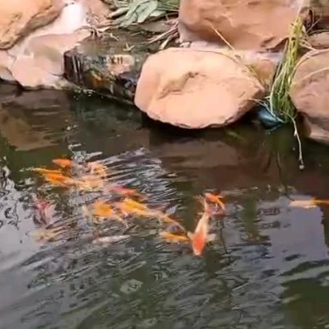 用户144476140598