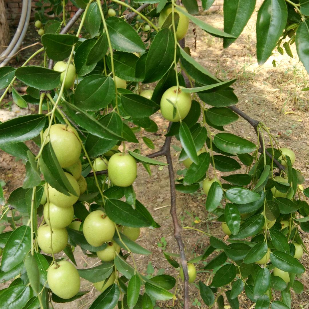 女人难（每天晚上七点直播）
