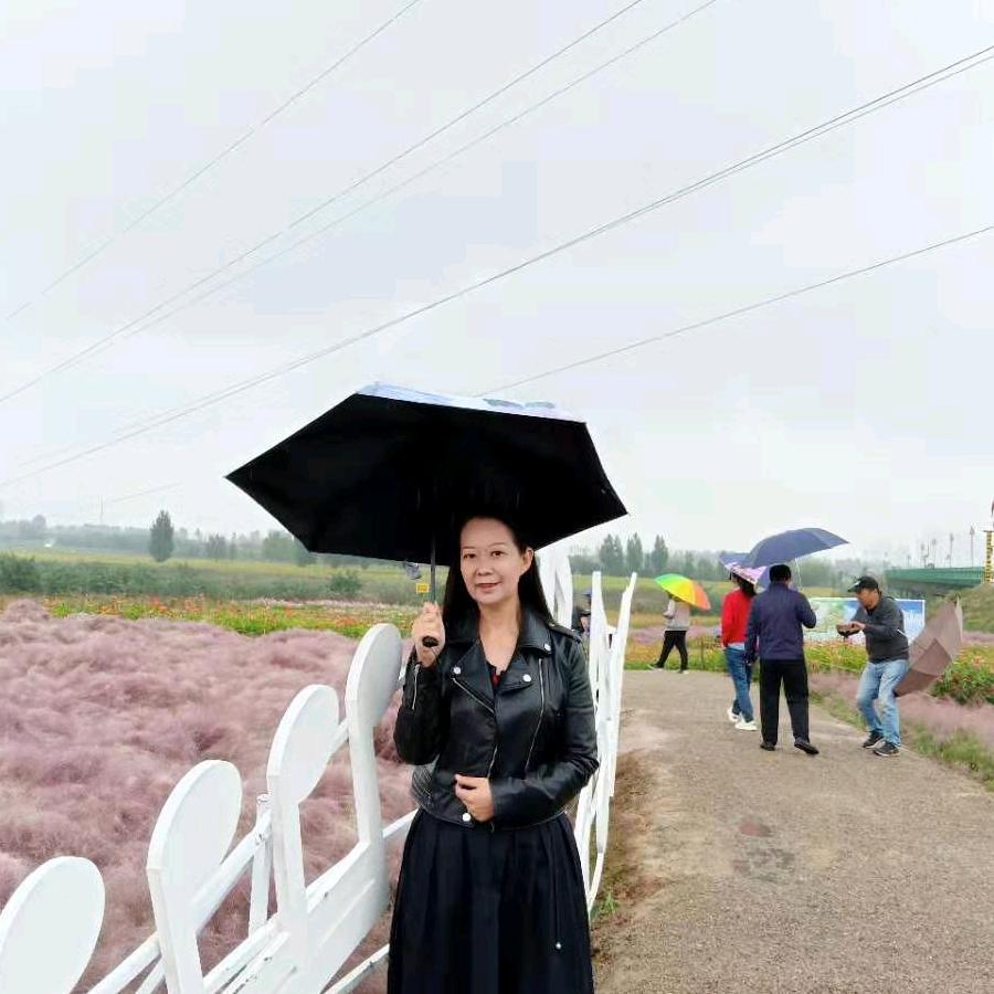 冰雨