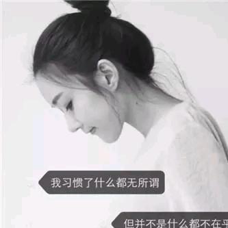 蒲公英