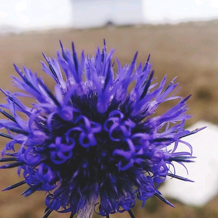 人生苦短