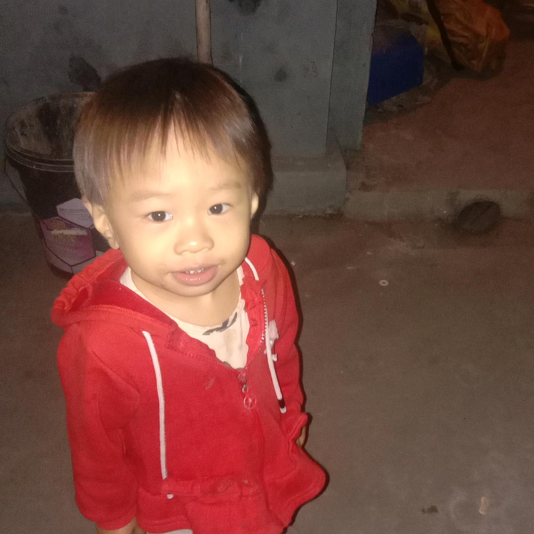 自由自在
