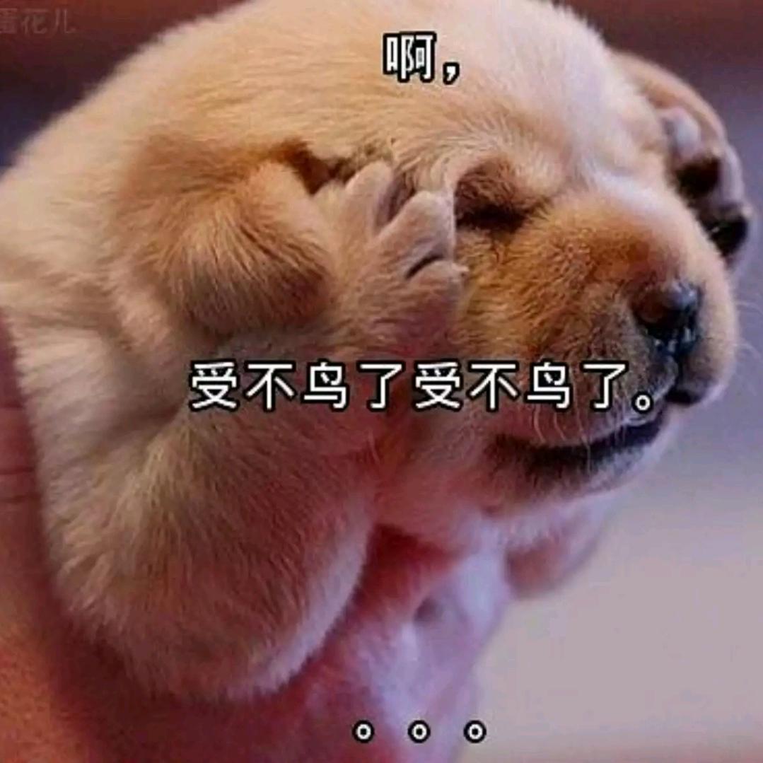 葬神