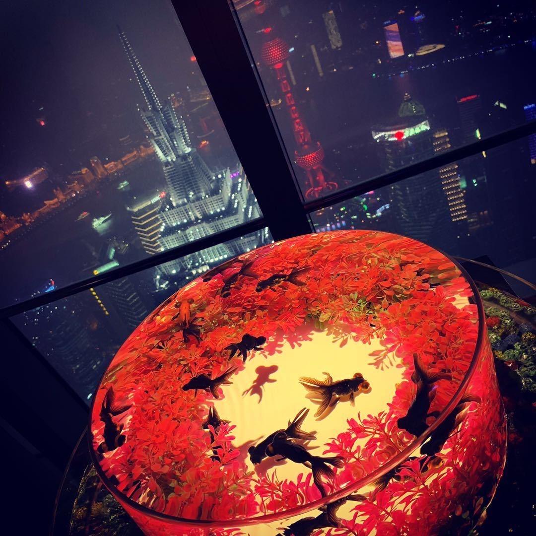 Zhang🥇