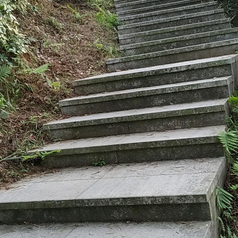 兔仔
