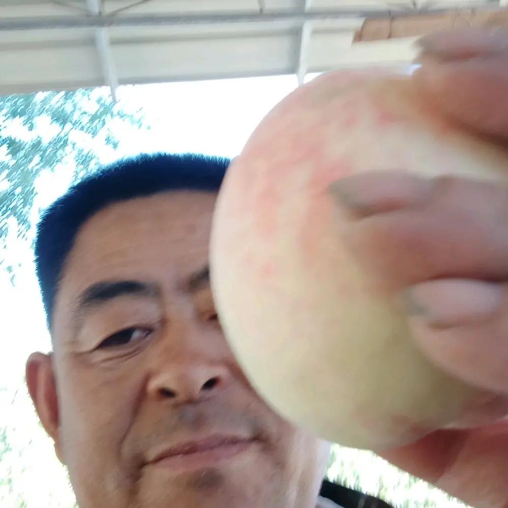 无人问我粥可温524