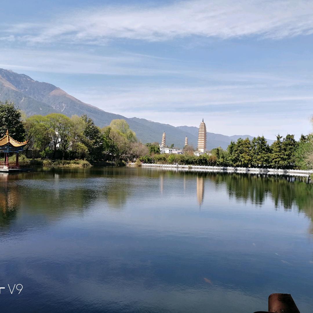 @华好月圆🌺🌺🌺