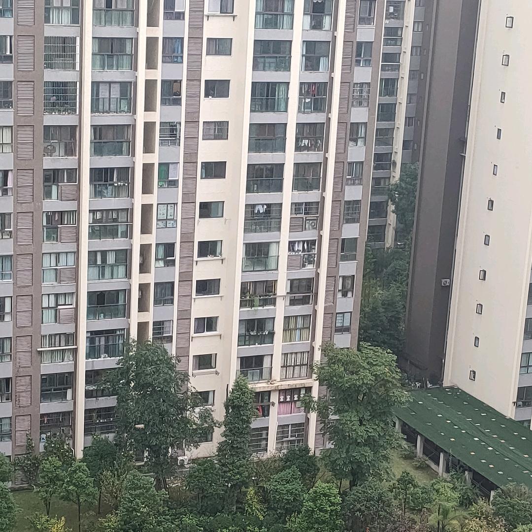 九九