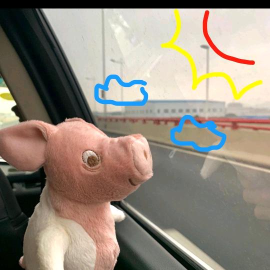 肉丝儿