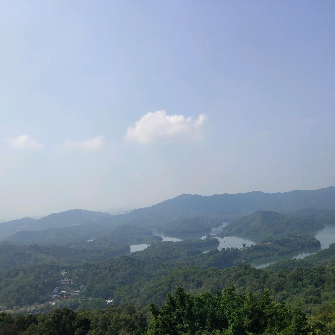 梦酷依