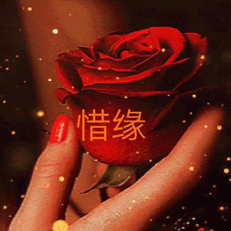 惜缘
