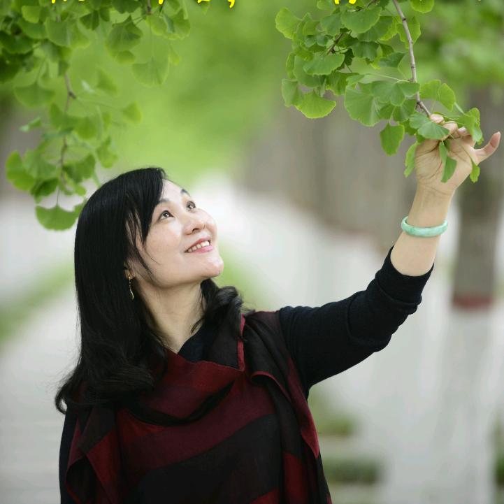 紫依芸梦
