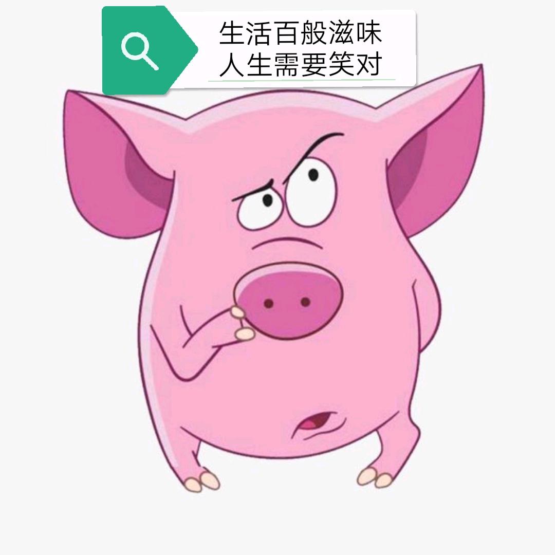站在浪尖de猪