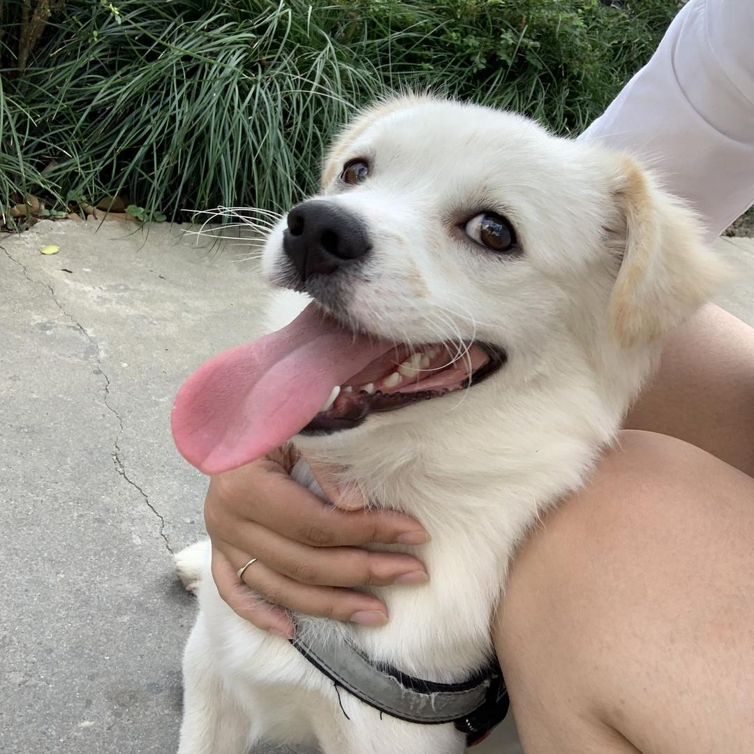 °心如薄荷天然凉〃.