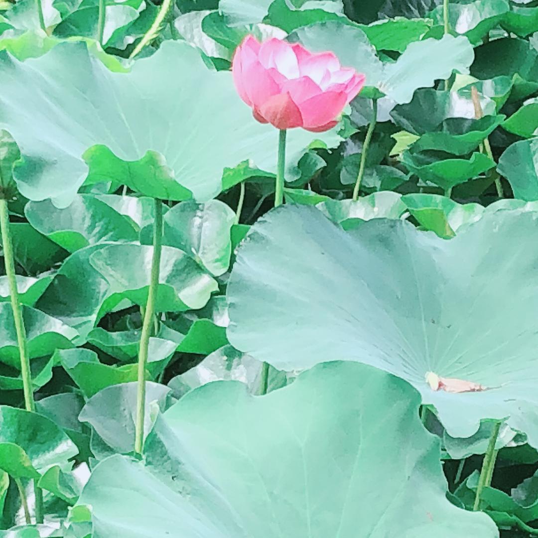 奋斗