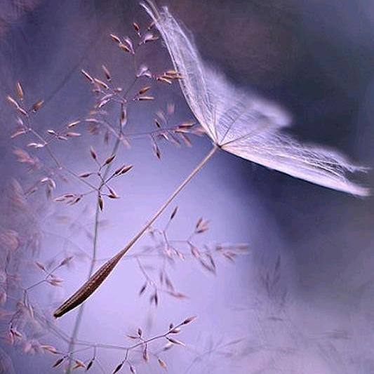 听雨