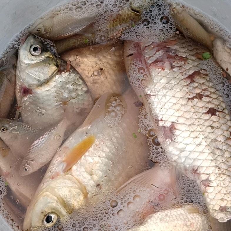 慌都不慌...萧十一郎