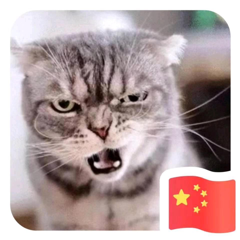 爱唠嗑的小飞飞