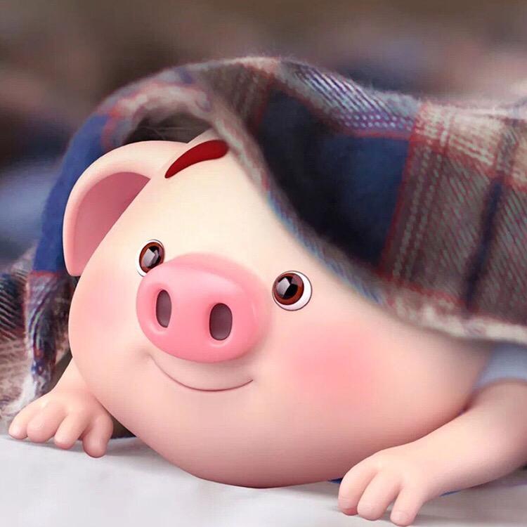 无心睡眠zzz