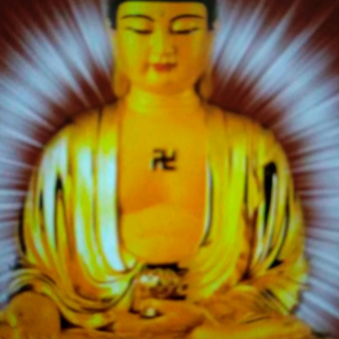 正位愚者