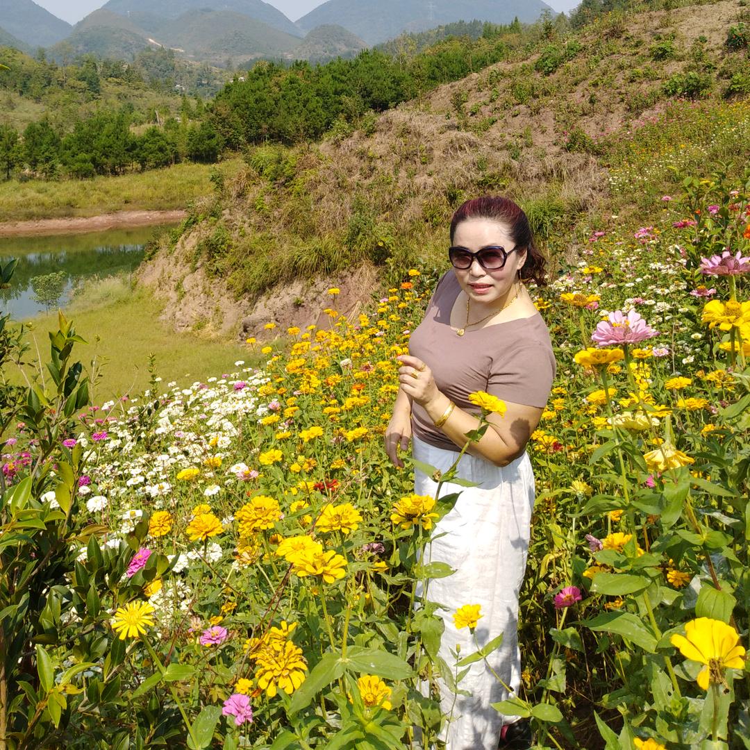 黑牡丹