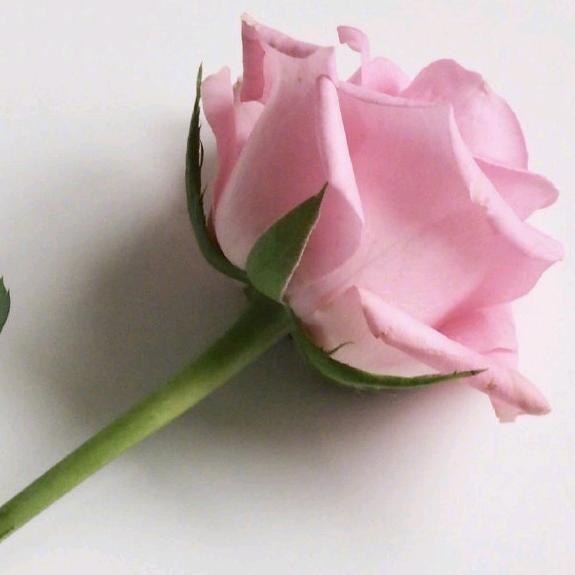 在简阳卖漆卖艺术漆的高小慧