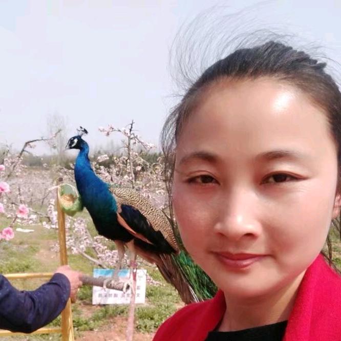 玉子