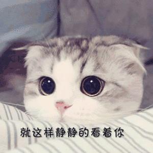 只愿你好