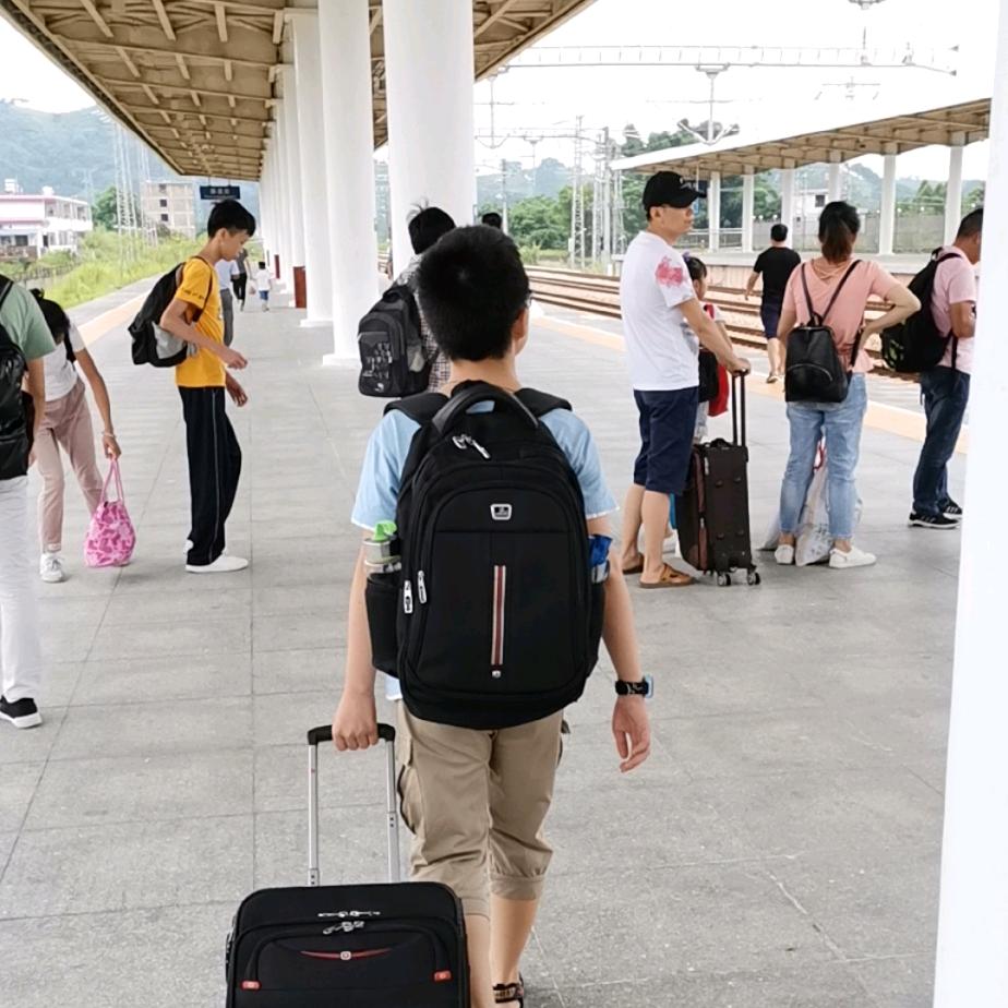广西TCL光伏*岑溪市\平南县*区域代理