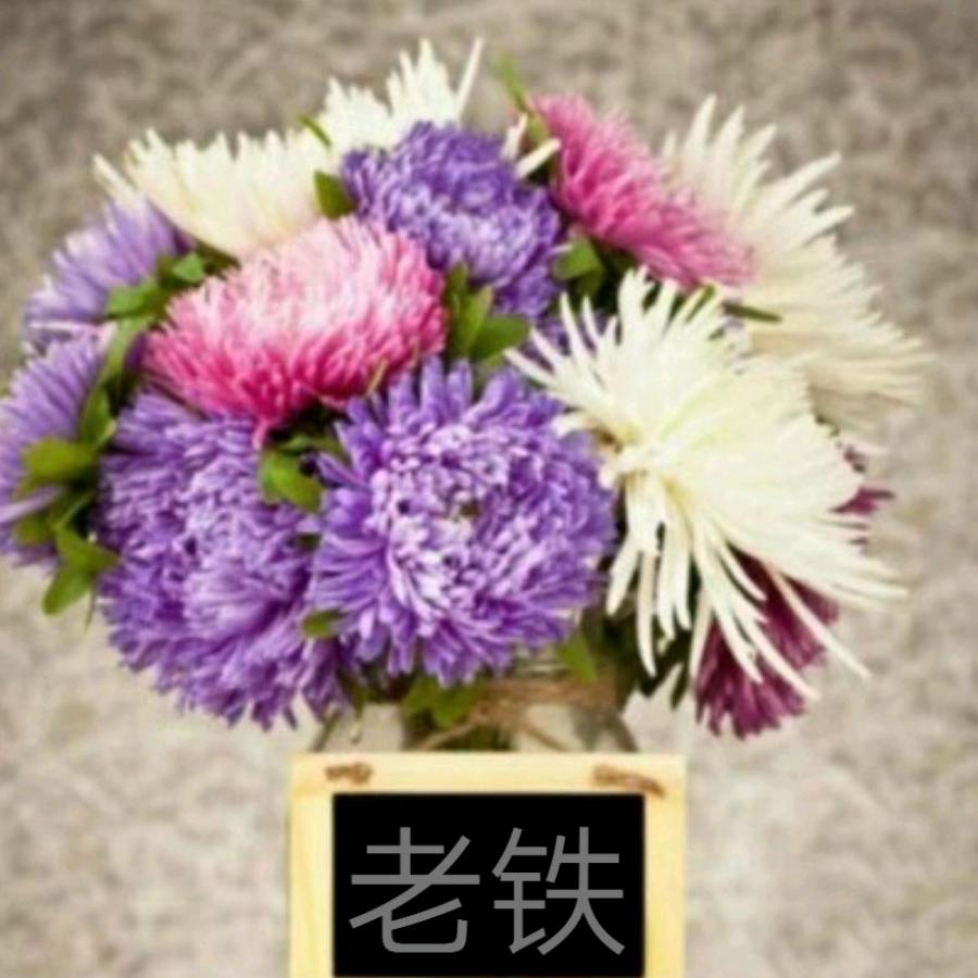 老铁推数据