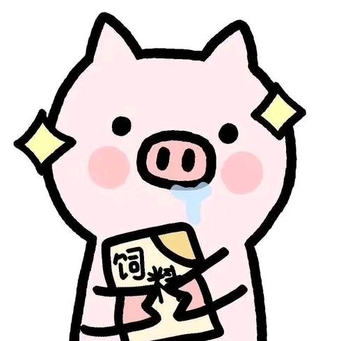 调皮猪