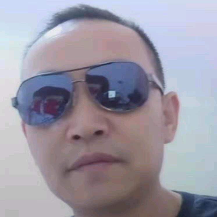 情为你而动