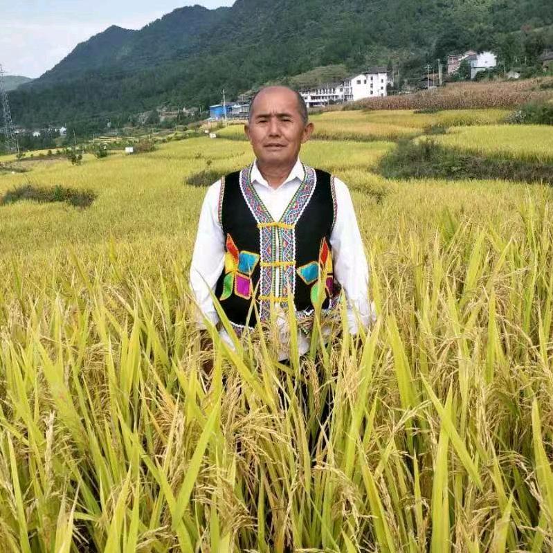 农歌