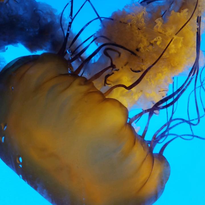 每天被自己美醒