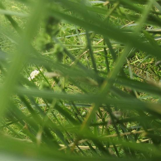 又菜又爱玩