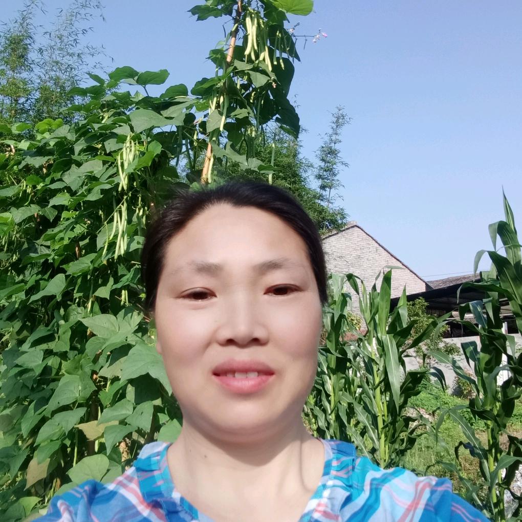凤景如画